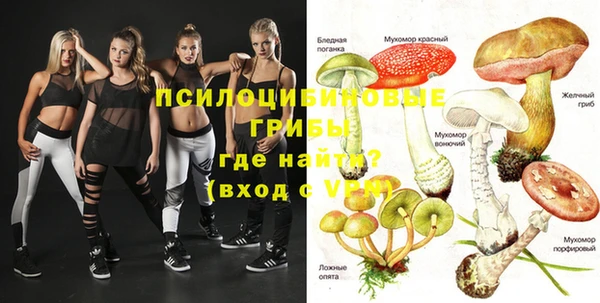 каннабис Алексин